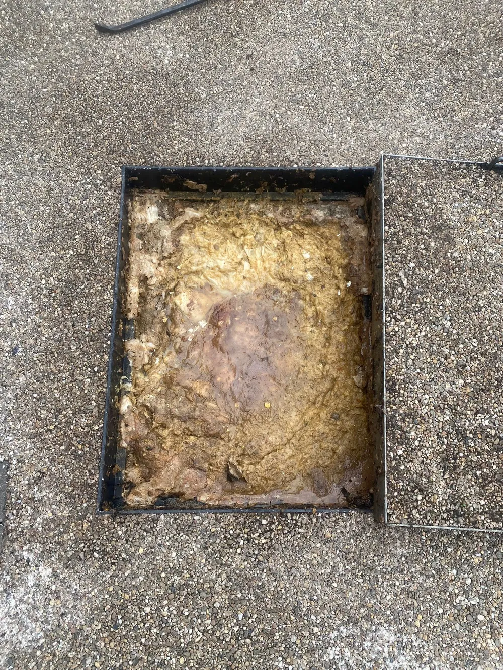 Drain chamber with visible accumulated material and standing wastewater